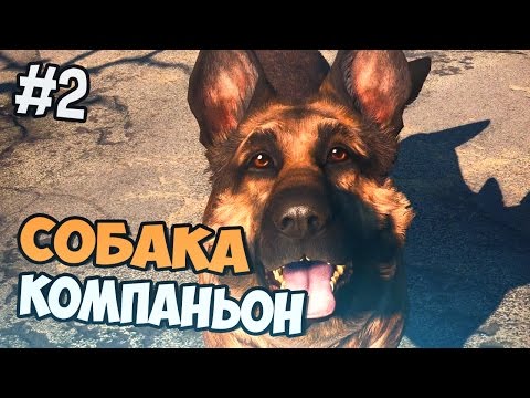 Видео: Fallout 4 прохождение на русском - СОБАКА КОМПАНЬОН - Часть 2