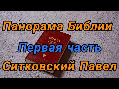 Видео: 01. ПЕРВЫЙ И ВТОРОЙ ПЕРИОД.  Ситковский П.Н. 23 01 2024.