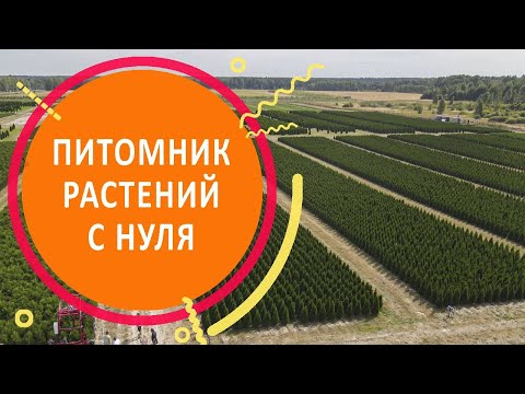 Видео: Питомник растений с нуля. Как выйти на самоокупаемость за 4 года?