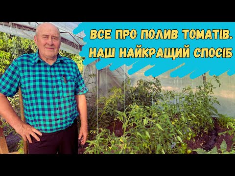 Видео: Все про полив томатів. Наш найкращий спосіб!