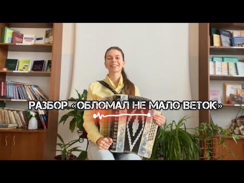 Видео: Разбор песни "Обломал немало веток"