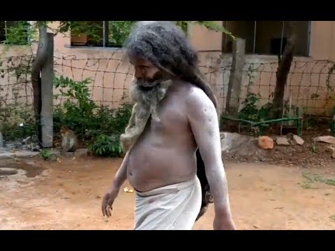 Видео: Кристина Колоколова и её гуру Свамиджи (Мауна Баба / Вибути Ситар). Тируваннамалай 02.07.2019