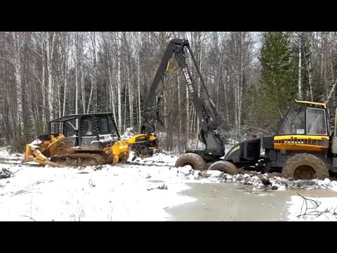 Видео: Один день из жизни оператора харвестера Ponsse