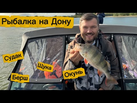 Видео: Рыбалка на Дону в сентябре. Наконец-то хищник активизировался.