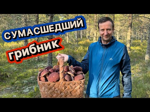 Видео: ГРИБНИК В ОТЧАЯНИИ УЕХАЛ В ТАЙГУ! ПРИКЛЮЧЕНИЯ НАЧИНАЮТСЯ! Грибы 2024