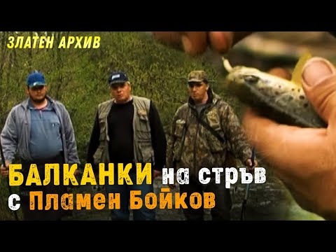 Видео: БАЛКАНКИ на стръв с Пламен Бойков