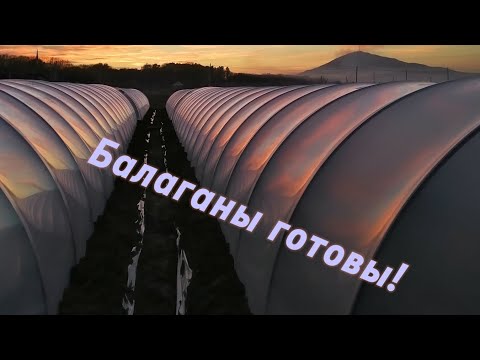 Видео: построили балаганы, обзор #клубника #тепличнаяягода#strawberry #балаганы#теплицы