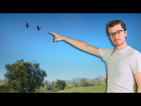 Видео: Куда исчезают птицы из Red Dead Redemption 2?