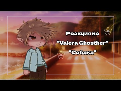 Видео: 13 Карт|Реакция на "Valera Ghosther" - Собака (Прочитай Опис.♡)