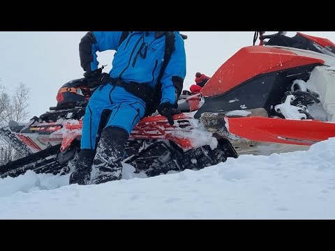 Видео: Как купить снегоход! Выбираем бу брп! На что обратить внимание!