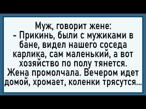 Видео: Как жена к соседу карлику бегала! Сборник свежих анекдотов! Юмор!