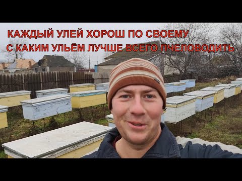 Видео: Какой улей лучше лежак или корпусной