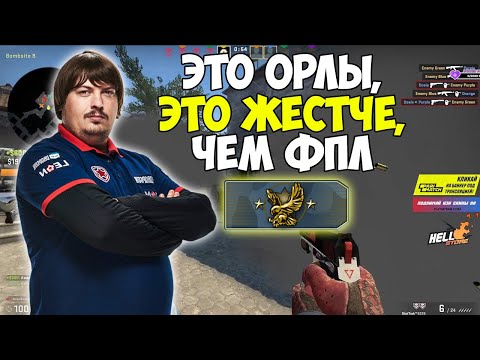 Видео: DOSIA РАЗНОСИТ БЕРКУТОВ В ММ | DOSIA ИГРАЕТ ММ