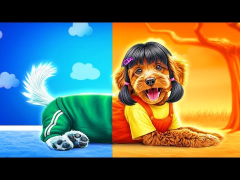 Видео: Лялька зі Гри в Кальмара всиновила песика!