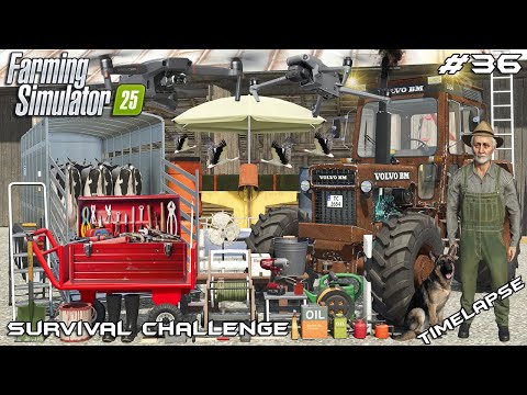 Видео: УЛУЧШЕНИЯ ФЕРМЫ — СТРОИТЕЛЬСТВО САРАЯ И ПОКУПКА КОРОВ 🐮 | Выживание | Farming Simulator 25 | Эпиз...