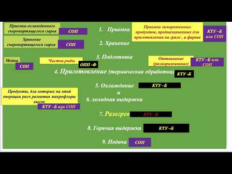 Видео: НАССР-план для 3-й группы процессов