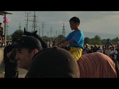 Видео: Байге тапшыруу Кунан чабыш Токмок 24.06.2022