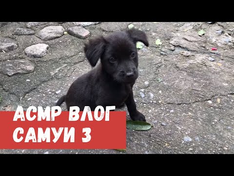 Видео: АСМР Влог Самуи 3 часть