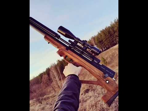 Видео: гайд по выбору егеря от рок .
