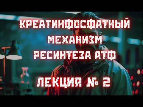 Видео: Креатинфосфатный механизм ресинтеза АТФ № 2: креатин, система транспорта креатина, креатинин