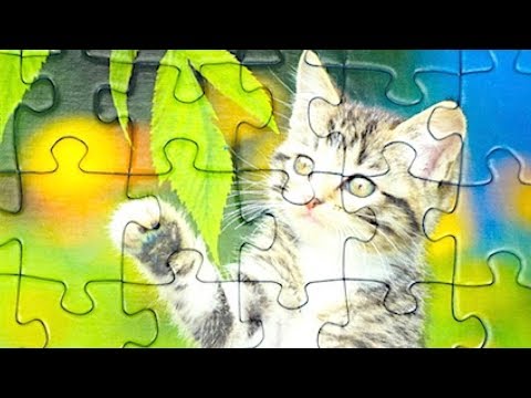 Видео: Пазлы для детей с котиками. Учимся собирать пазл