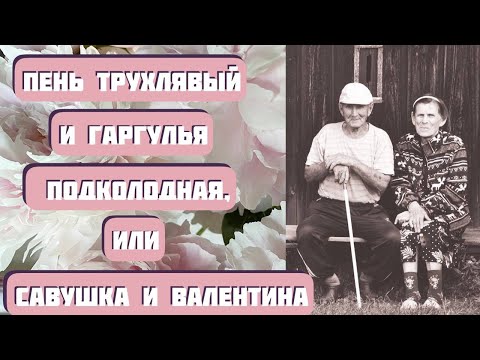Видео: Пень трухлявый и Гаргулья подколодная, или Савушка и Валентина. Забавный рассказ Светланы Волковой.