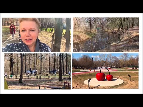 Видео: Южная Корея-Москва🏠16 апреля 2025/Гуляем в лесу/Не хочу яблок/Вишнёвый парк/Купила внукам книжки
