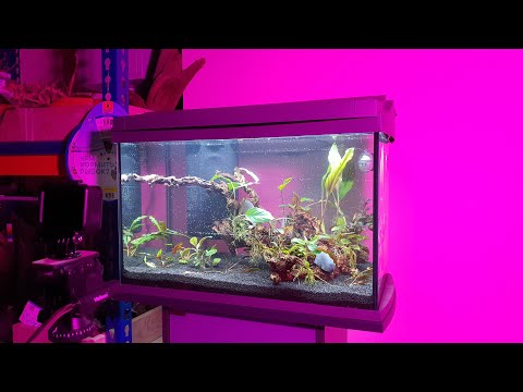 Видео: Аквариум Tetra AquaArt LED Discovery 60L - распаковка, обзор, тест, запуск, DIY и его РОЗЫГРЫШ!!!