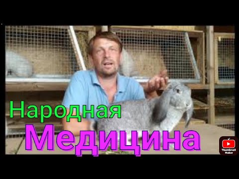 Видео: ЛЕЧЕНИЕ и ПРОФИЛАКТИКА болезней кроликов народными средствами.