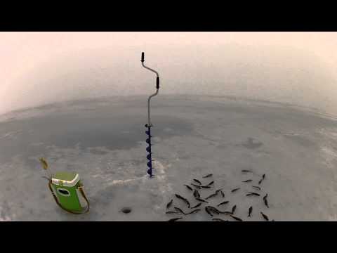 Видео: Мастер-класс Александра Воробьева и Владимира Поленовского по зимней блесне - 2015. Часть 4