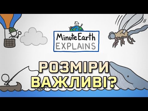 Видео: Розміри важливі [MinuteEarth]