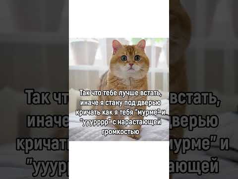 Видео: Мне показалось, или...