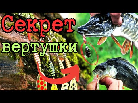 Видео: 8 ОШИБОК при ловле на вертушки, о которых ты ТОЧНО НЕ ЗНАЛ!