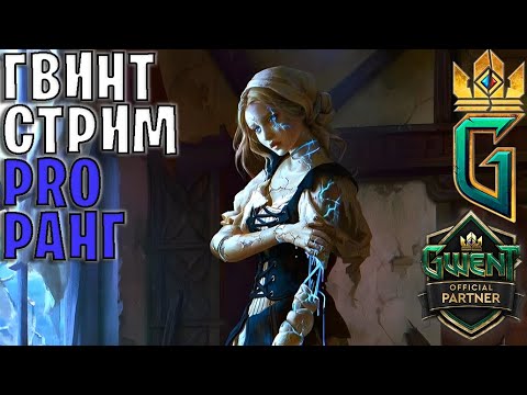 Видео: Gwent | Гвинтуем / Добавил новые гифки в донейшен алертс :)