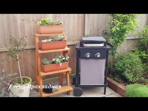 Видео: 603. Заходите в гости. Загляните  в мой сад.