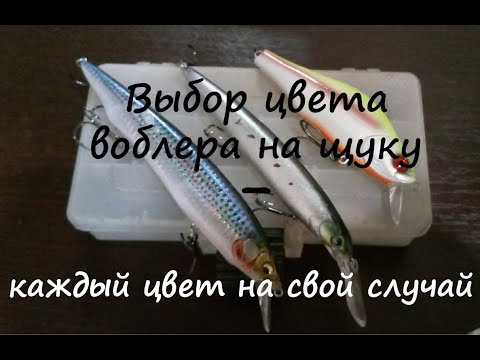 Видео: Как выбрать цвет воблера на щуку