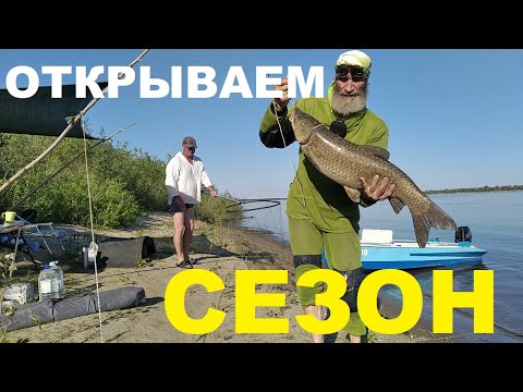 Видео: Открытие Амуро - Сазаньего Сезона.