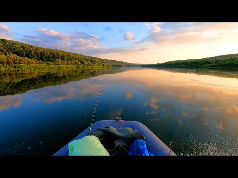 Видео: Рыбалка на Оке с лодки на спиннинг