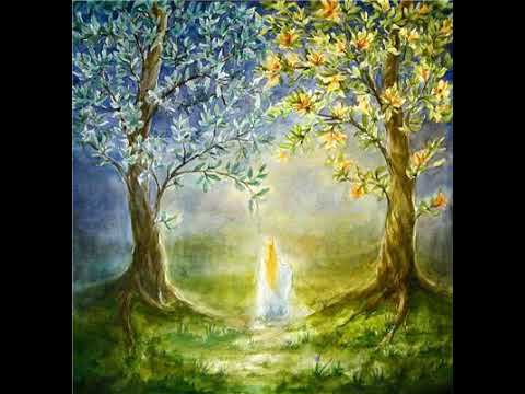 Видео: Углубленный разбор закона кармы.  Закон кармы (2007) Торсунов О.Г.