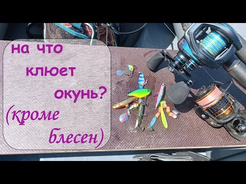 Видео: на что клюет окунь? (кроме блесен)