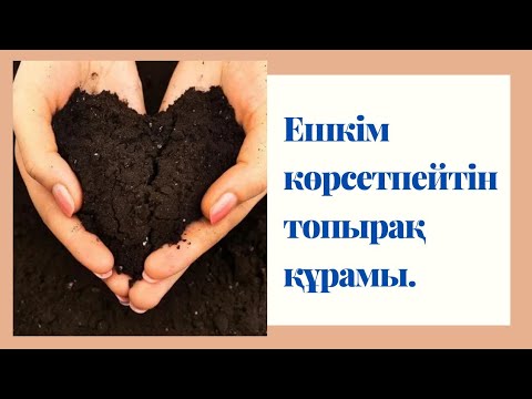 Видео: Қалай бөлме гүлдеріне топырақ дайындаймыз?Гулдерге кандай топырак керек?Грунт для цветов.