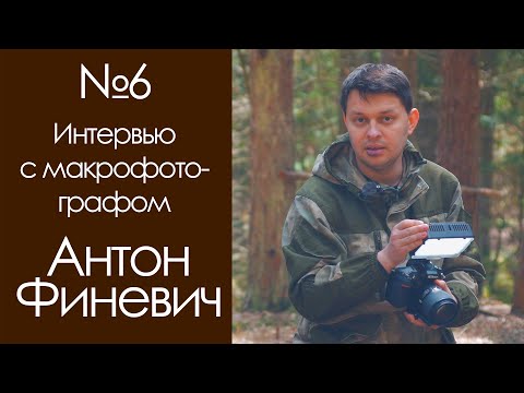 Видео: Интервью с макрофотографом. Антон Феневич
