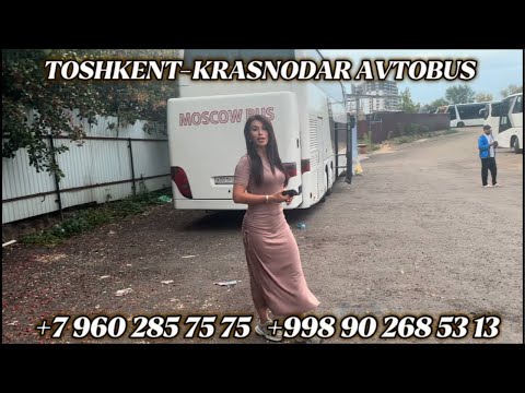 Видео: +79650496969/Krasnodar Toshkent avtobus ,Ростов Ташкент автобус,москва-ташкент автобус