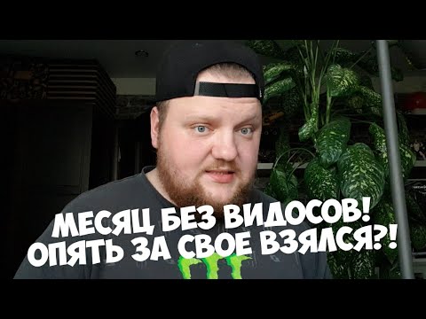 Видео: Уже Месяц Нет Видосов! Что Происходит?