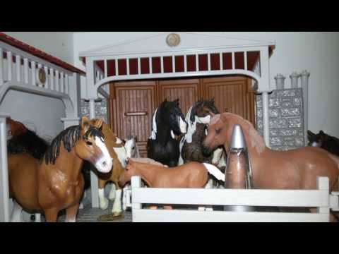 Видео: Обзор коллекции фигурок (домашние животные) часть 2