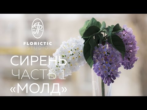 Видео: Сирень из фоамирана. Часть 1. Молд.