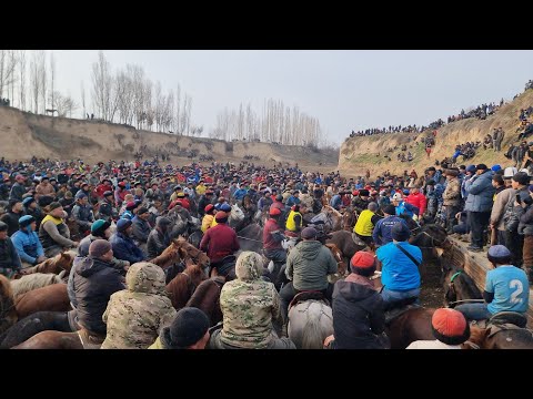 Видео: Ноокат  25-февраль  Алман Улак 2 Авто Унаа Балбандар  Жыйналган Чоң Той