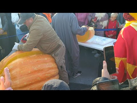 Видео: 🔥🥳ЗЕЛЕНОГРАДСК🌊 ДЕНЬ УРОЖАЯ, ПРАЗДНИК ТЫКВЫ🍁🎃🤩