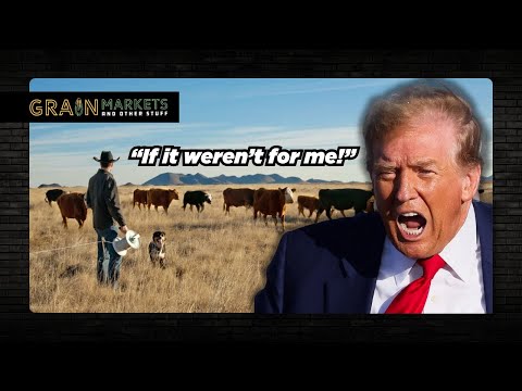 Видео: Трамп критикует скотоводов — и он совершенно неправ