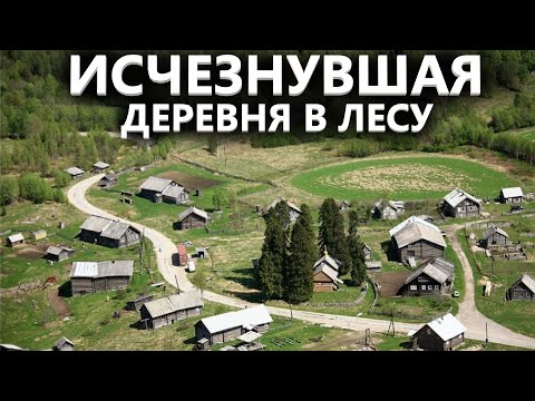 Видео: Ищу монеты в лесной деревне. Это настоящий КЛОНДАЙК находок. Часть 1. Коп поиск монет 2024